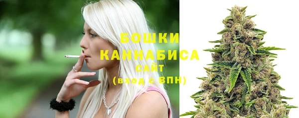 СК Богородск