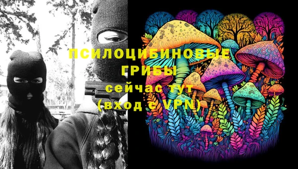 мяу мяу мука Бугульма