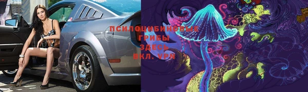 СК Богородск