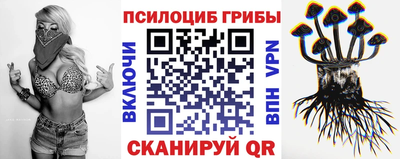 Псилоцибиновые грибы Psilocybine cubensis  Котовск 